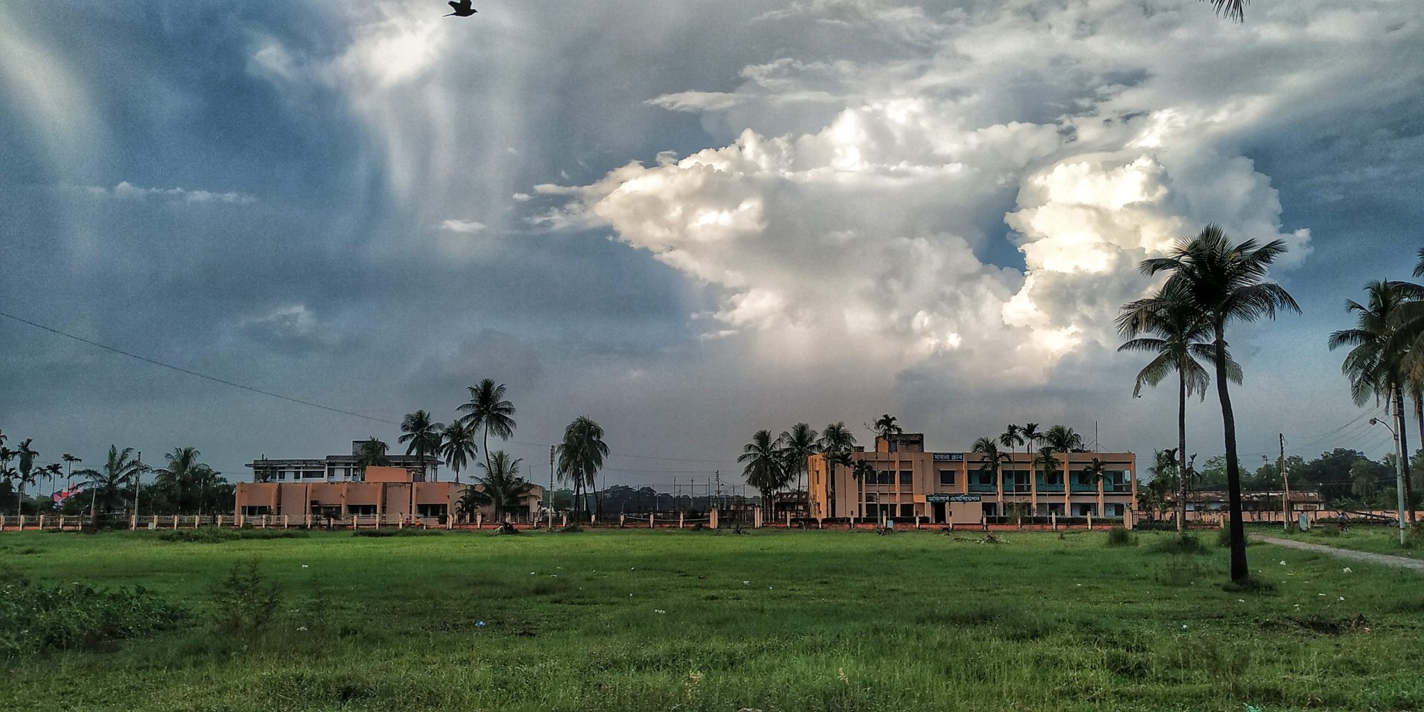 IMG_20191008_165301-01 (1)